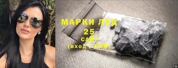 гашик Богданович
