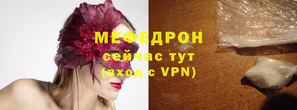 гашик Богданович