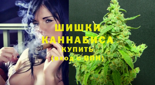 Альфа ПВП Сосновка