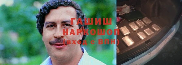 гашик Богданович