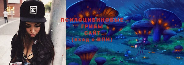 гашик Богданович