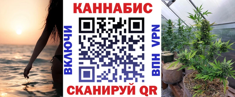 Конопля гибрид  Тихвин 